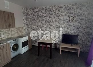 Квартира в аренду студия, 29 м2, Новосибирск, улица Дунаевского, 14/3, ЖК Дунаевский квартал