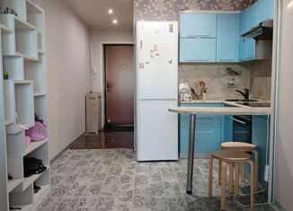 Продажа квартиры студии, 23.5 м2, посёлок Садаковский, Московская улица, 53А