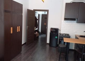 Сдается квартира студия, 27 м2, Санкт-Петербург, Арцеуловская аллея, 19