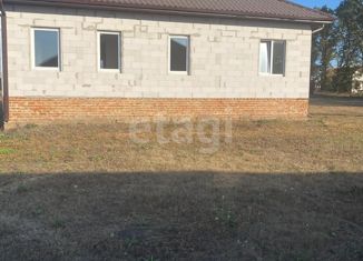 Продается дом, 100 м2, село Шишино, улица 70-летия Победы