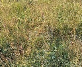 Продам участок, 9.2 сот., Выкса, улица Лазо, 57А