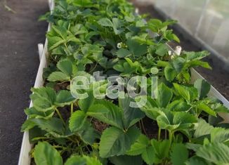 Земельный участок на продажу, 8.5 сот., садовое товарищество Чайка