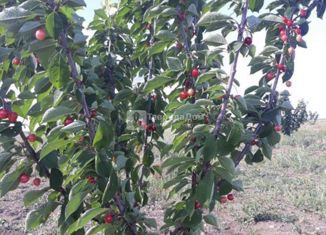 Продам участок, 488.81 сот., Первомайское сельское поселение