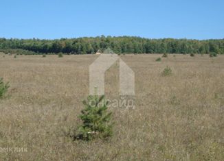 Продается участок, 120 сот., село Сухая