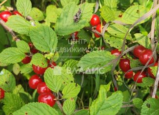 Продается участок, 10 сот., Арсеньев