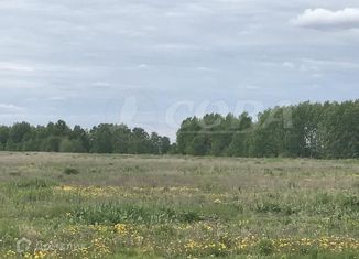 Продам земельный участок, 430 сот., городской округ Тюмень