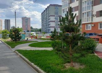 Двухкомнатная квартира на продажу, 42 м2, Волгоградская область, улица Гаря Хохолова, 1