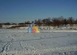 Продаю участок, 10 сот., деревня Русиновка