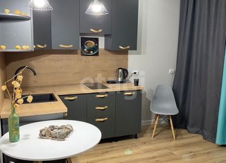 Продается квартира студия, 26.7 м2, Санкт-Петербург, 2-й Предпортовый проезд, 6, 2-й Предпортовый проезд