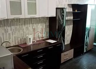 Сдается в аренду квартира студия, 21 м2, Новосибирск, улица Героев Революции, 21, Первомайский район