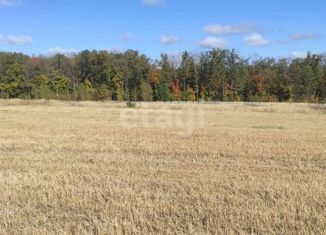 Участок на продажу, 10 сот., село Хвощеватка, Васильковая улица