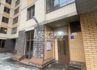 Продаю квартиру студию, 23.5 м2, Ломоносов, Михайловская улица, 51