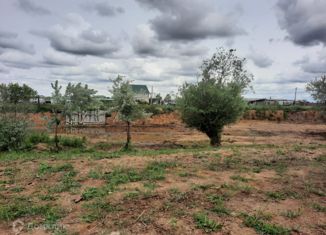 Участок на продажу, 130 сот., село Разбугорье, улица Дины Нурпейсовой