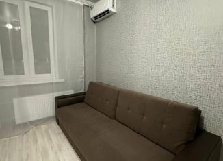 Продается квартира студия, 28 м2, Краснодар, улица Автолюбителей, 1/3к1, ЖК Премьера