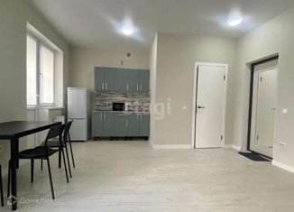 Сдаю квартиру студию, 25 м2, аул Новая Адыгея, Бжегокайская улица, 31/9к1, ЖК Родной Дом