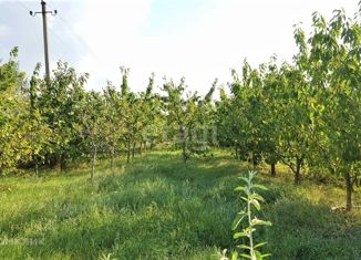 Продажа участка, 25 сот., село Партизаны