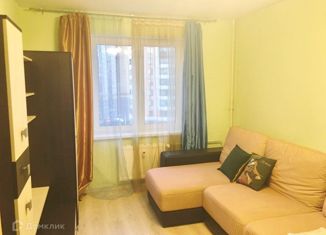 Сдается в аренду 2-ком. квартира, 46 м2, Санкт-Петербург, улица Михаила Дудина, 12, улица Михаила Дудина