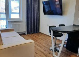 Квартира на продажу студия, 25 м2, Анапа, Владимирская улица, 142, ЖК Триумф