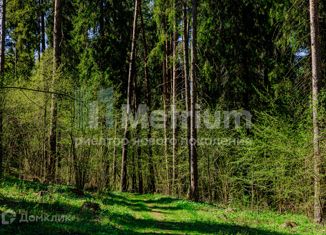 Продажа земельного участка, 20 сот., деревня Чесноково