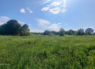 Продажа земельного участка, 13 сот., посёлок Василево, посёлок Василёво, 73