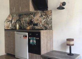 Сдаю в аренду комнату, 104 м2, Санкт-Петербург, Большая Пушкарская улица, 32, Петроградский район