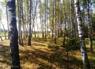 Продаю участок, 25 сот., деревня Илейкино, Колхозная улица, 18