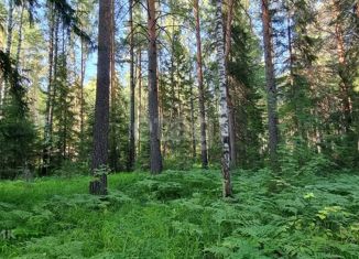 Продаю земельный участок, 20 сот., Дегтярск, Виноградная улица, 13