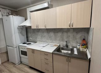 Сдам двухкомнатную квартиру, 56 м2, Старый Оскол, микрорайон Жукова, 43