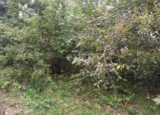 Продажа земельного участка, 5.3 сот., Горно-Алтайск, садоводческое товарищество Сосновый Бор, 74