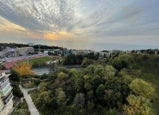 Продаю однокомнатную квартиру, 28.18 м2, Сочи, Пластунская улица, 34, микрорайон Ареда