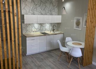 Продаю квартиру студию, 26 м2, Сочи, улица Искры, 88, ЖК Летний