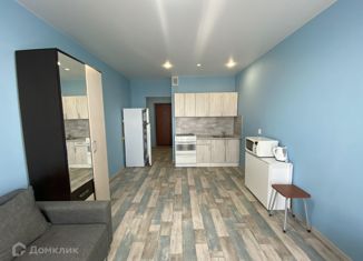 Продажа квартиры студии, 25 м2, поселок Придорожный, Николаевский проспект, 53