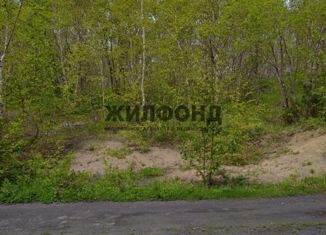 Земельный участок на продажу, 12 сот., Петропавловск-Камчатский, улица Фурманова, 1