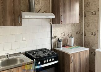 Продажа 1-комнатной квартиры, 30.7 м2, Санкт-Петербург, проспект Шаумяна, 73, метро Новочеркасская