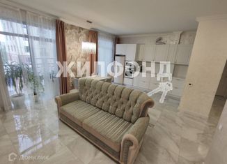 Продажа квартиры студии, 100.7 м2, Новосибирск, улица Котовского, 2Б, метро Студенческая