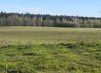 Участок на продажу, 15 сот., деревня Козицыно