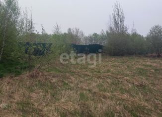 Продажа земельного участка, 17 сот., деревня Борисовское