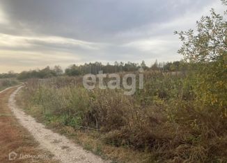 Земельный участок на продажу, 15.62 сот., деревня Янчерево, деревня Янчерево, 2