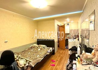 Продам квартиру студию, 20 м2, Санкт-Петербург, Социалистическая улица, 16, Социалистическая улица