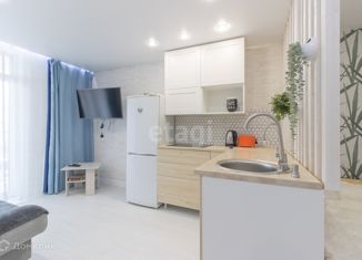 Продаю квартиру студию, 24.6 м2, Петрозаводск, улица Энтузиастов, 17, район Кукковка-III