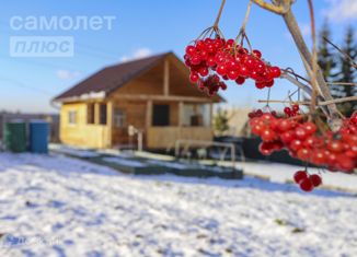 Продается дом, 42 м2, СНТ Пролетарий, СНТ Пролетарий, 93