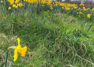 Участок на продажу, 14.02 сот., деревня Лисенки, Ключевая улица