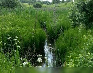 Продаю земельный участок, 74 сот., коттеджный поселок Зеленая миля