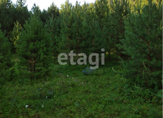 Продам участок, 51.5 сот., село Узнезя