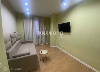 Продаю 1-ком. квартиру, 27.8 м2, Новосибирск, Плановая улица, 50, Плановая улица