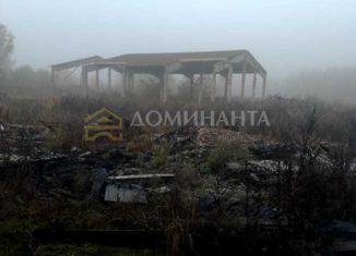 Продам участок, 330 сот., деревня Санаторий Борок