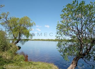 Продаю земельный участок, 34 сот., деревня Отроковичи