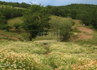 Земельный участок на продажу, 85.17 сот., Голубинское сельское поселение