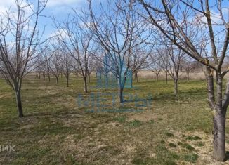 Продажа земельного участка, 26 сот., поселок Элитный, Северная улица