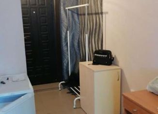 Сдается в аренду квартира студия, 20 м2, село Богашёво, улица Новостройка, 19Б/3